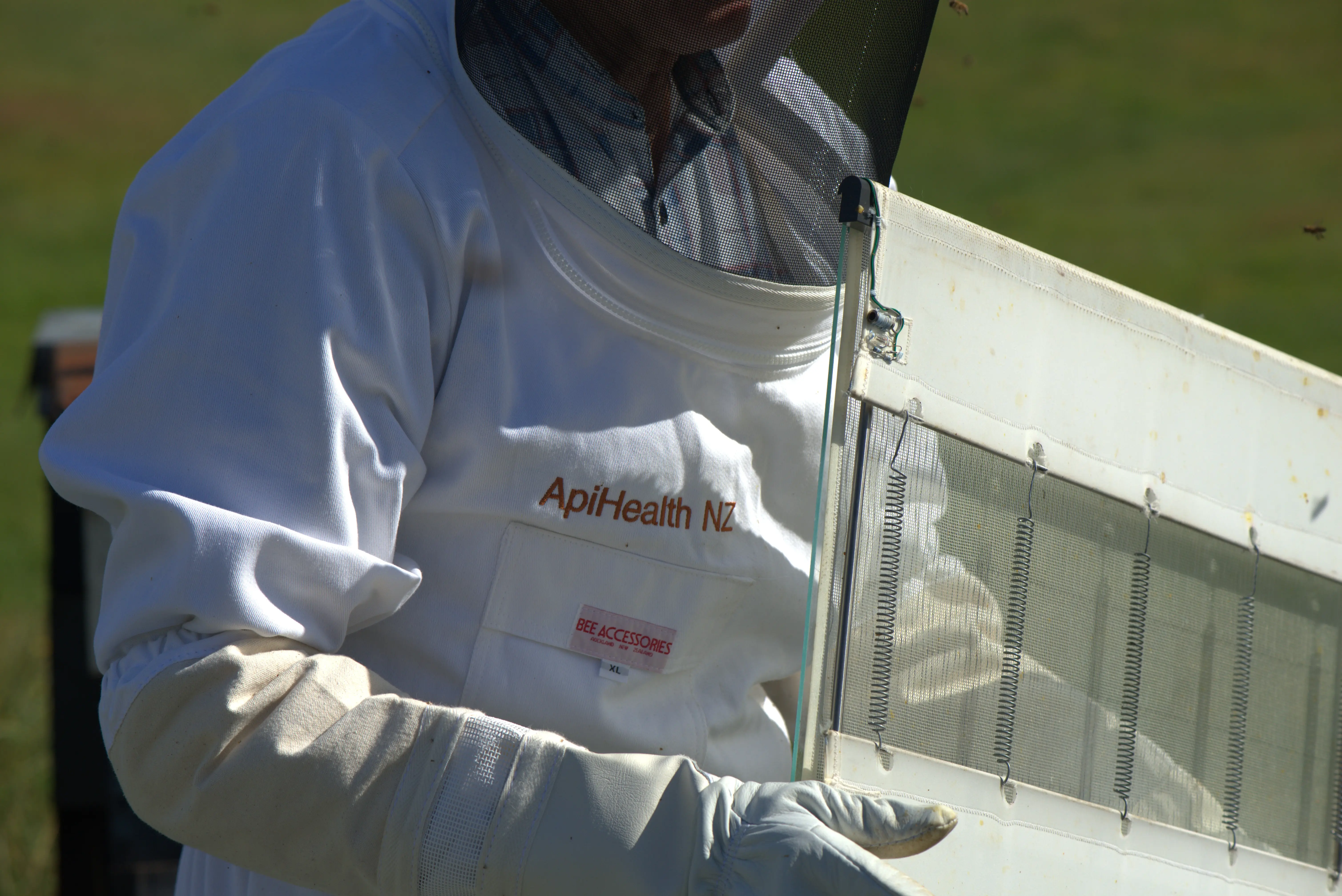 Bee Venom Research Programme illustration